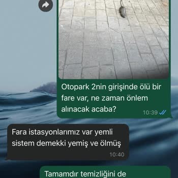 Site Yönetimi İle İletişim Sorunu ve Haşere Problemi