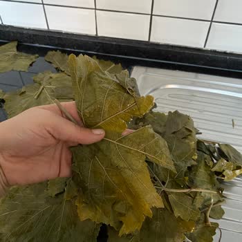 Hayal Kırıklığı: Kalitesiz Yapraklar ve Eksik Tartım