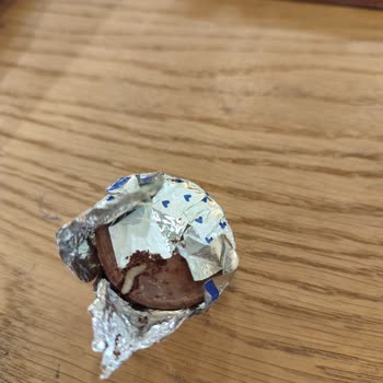 Çikolatadan Kurt Çıkması Şoku