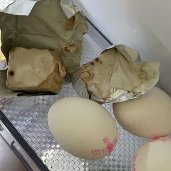 Grundig Buzdolabı Soğutmuyor ve Teknik Servis İlgisiz