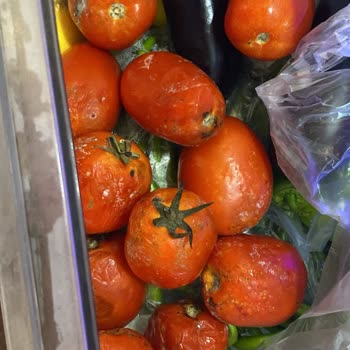 Grundig Buzdolabı Soğutmuyor ve Teknik Servis İlgisiz