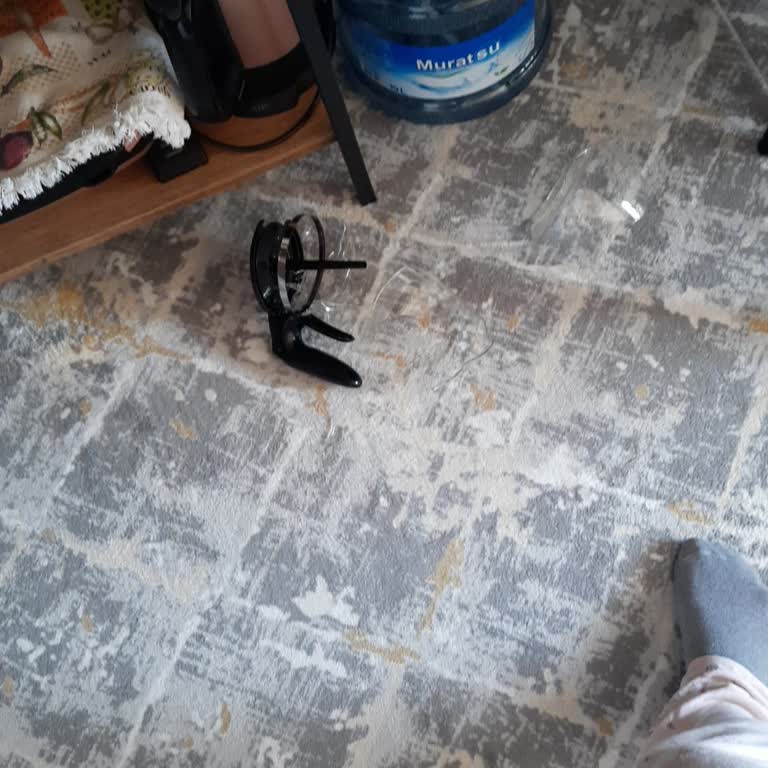 Philips Yedek Parça Fiyatları: Müşteri Mağduriyeti