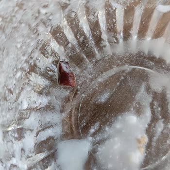 Kellogg's Granola Ürününde Taş Çıkması ve İlgisiz Müşteri Hizmetleri