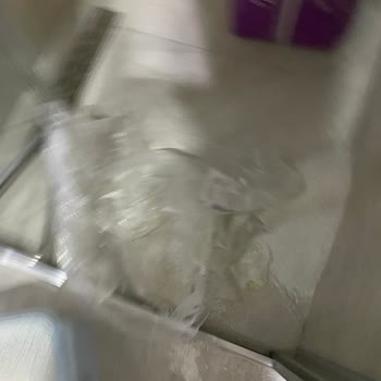 Vodafone Her Şey Yanımda'dan Defolu Kedi Kumu Alışverişi