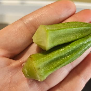 Diji Bilişim İnternet Hizmetleri Şikayeti!