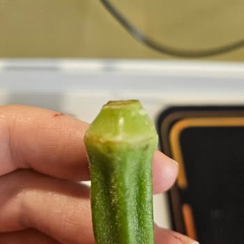 Diji Bilişim İnternet Hizmetleri Şikayeti!