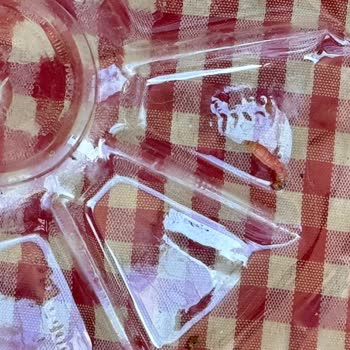 Diji Bilişim İnternet Hizmetleri Şikayeti!