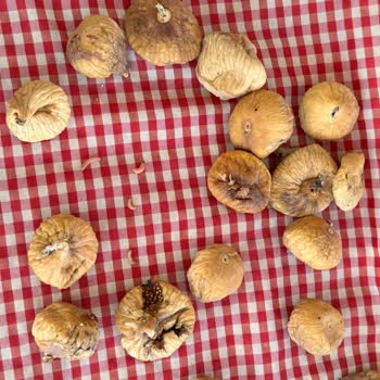 Diji Bilişim İnternet Hizmetleri Şikayeti!