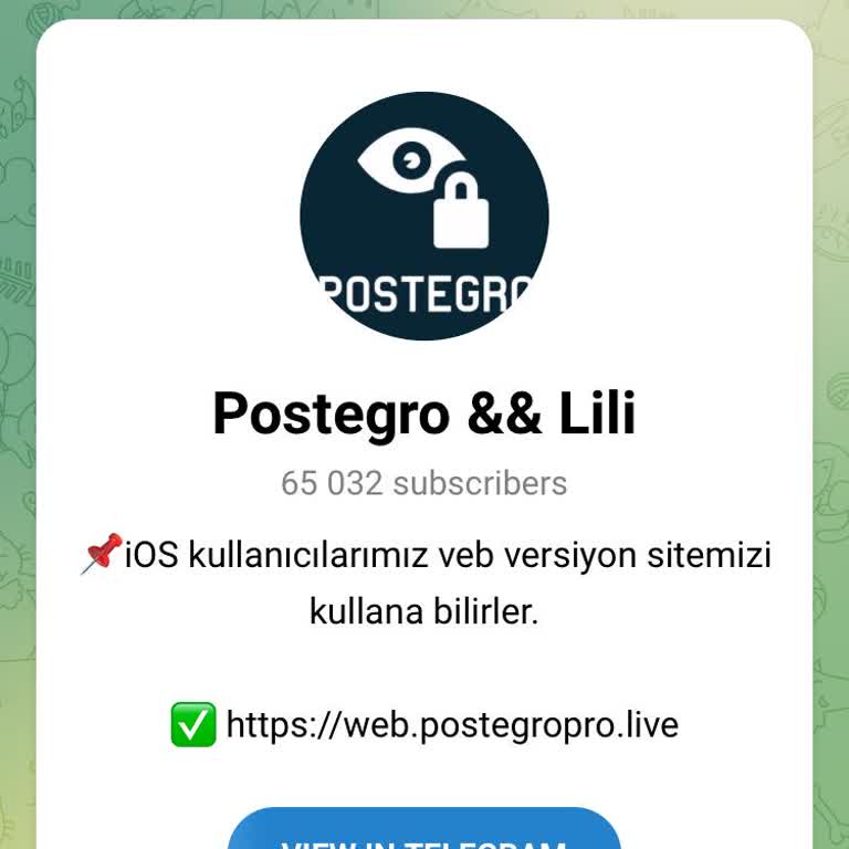 Postegro Aboneliği ve Güvenlik Endişesi