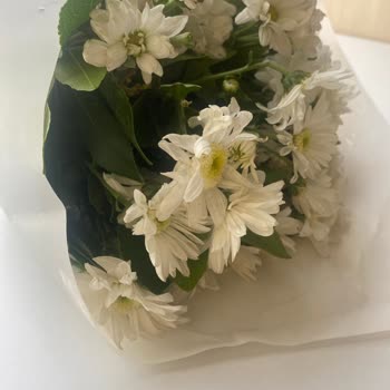 Yıldönümünde Çürük Çiçek Şoku