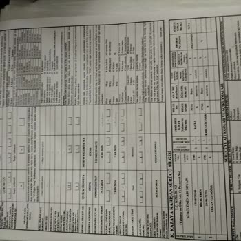 Citroen C3'ün Airbag Sorunu