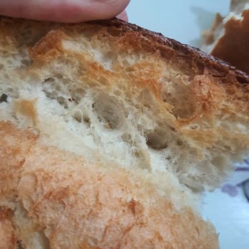 Ankara Halk Ekmekte Hijyen Skandalı