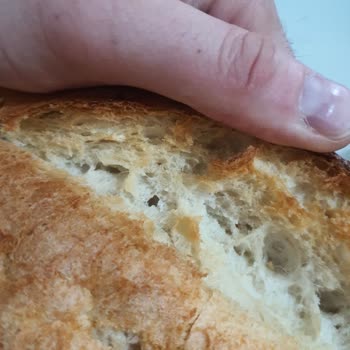 Ankara Halk Ekmekte Hijyen Skandalı