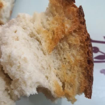 Ankara Halk Ekmekte Hijyen Skandalı