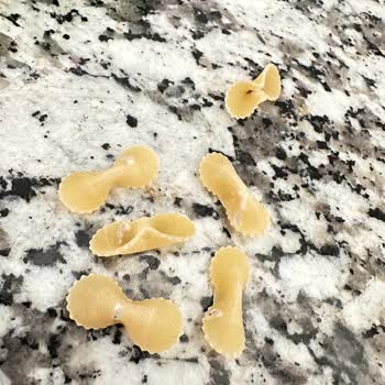 Makarnada Canlı Böcek Şoku