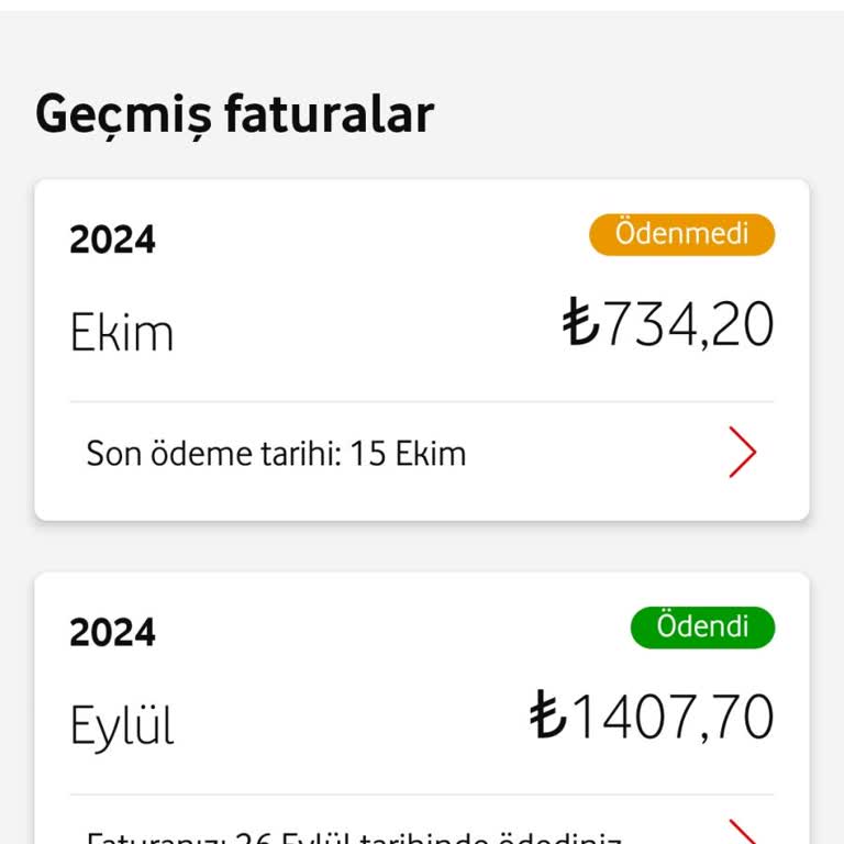 Tekrar Eden Fatura Sorunu ve Çözüm Beklentisi