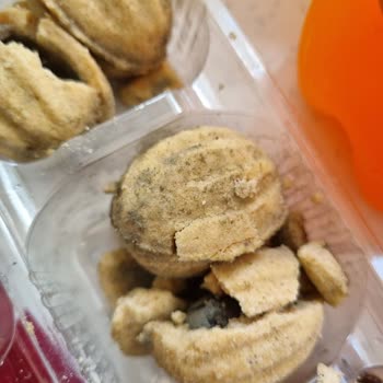 Küflü Kurabiyeler ve Sağlık Tehdidi