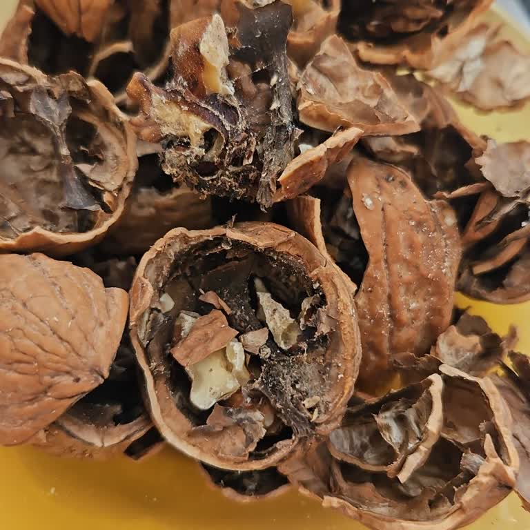 Carrefour SA Çürük Ceviz Skandalı: Mini Market Hayal Kırıklığı