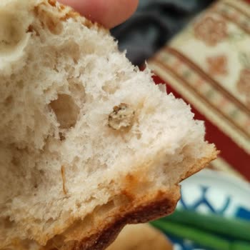 Ekmekteki Gizemli Madde: Hijyen Endişesi