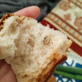 Ekmekteki Gizemli Madde: Hijyen Endişesi