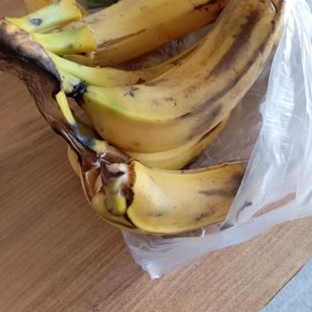 Çürük Muz ve Sineklerle Dolan Ev