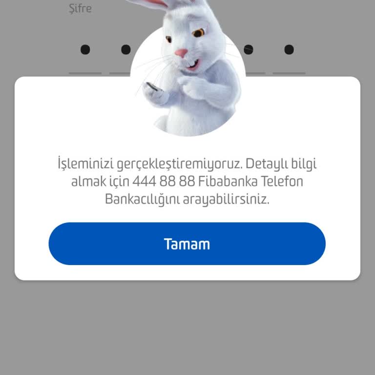 Fiba Banka'da Hesap Erişim Sorunu
