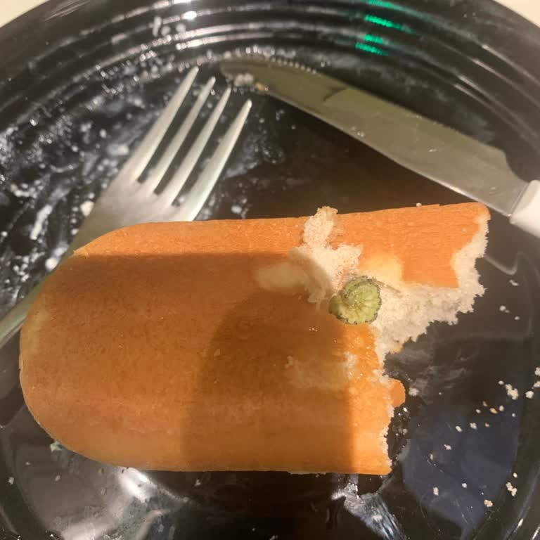 Uno Ekmek Sandviç Ekmeğinden Çıkan Dev Kurt Şoku