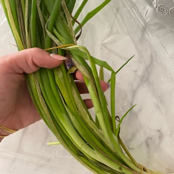 Migros Sanal Market Sebzeleri Hayal Kırıklığı