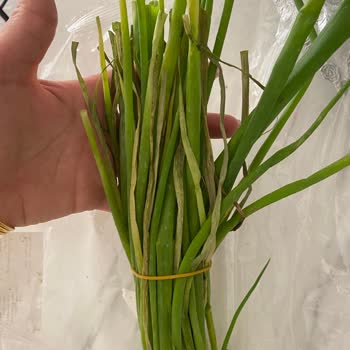Migros Sanal Market Sebzeleri Hayal Kırıklığı