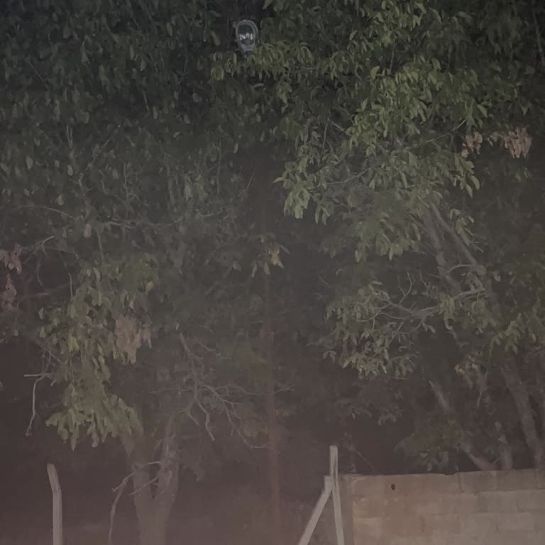 Gece Yürüyüşlerinde Güvenlik Sorunu: Aydınlatma Eksikliği