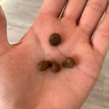 Yanlış ve Güncellenmemiş Fiyatlarla Mağduriyet