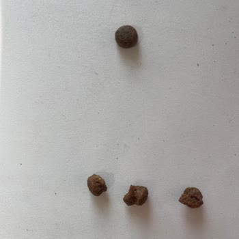 Yanlış ve Güncellenmemiş Fiyatlarla Mağduriyet