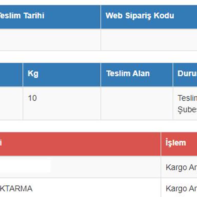 Sürat Kargo'nun Teslimat Sorunu ve Müşteri Memnuniyetsizliği