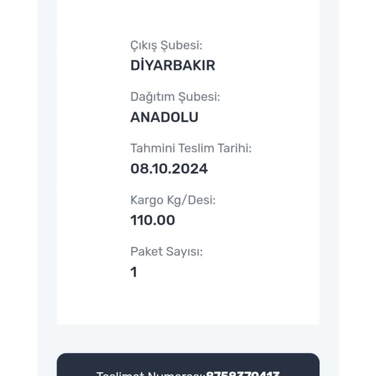 Kargom Neden Hareketsiz Kaldı?