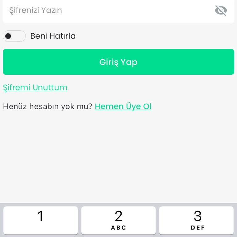 Hesaba Giriş Sorunu ve Müşteri Hizmetlerine Ulaşamama