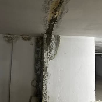 Asgün Trio Sitesi Yönetimiyle İlgili Ciddi Şikayetler