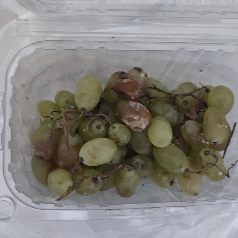 Migros Çürük Üzüm Siparişi Ve İletişim Eksikliği!