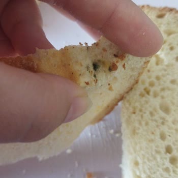 Köfteci Yusuf Küflü Ekmek Skandalı!