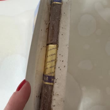 Üst Segment Çikolatada Kurt Şoku