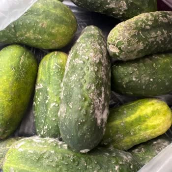 A101 Kapıda Uygulamasıyla İade Sorunu