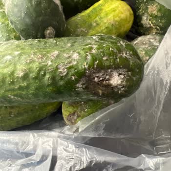 A101 Kapıda Uygulamasıyla İade Sorunu