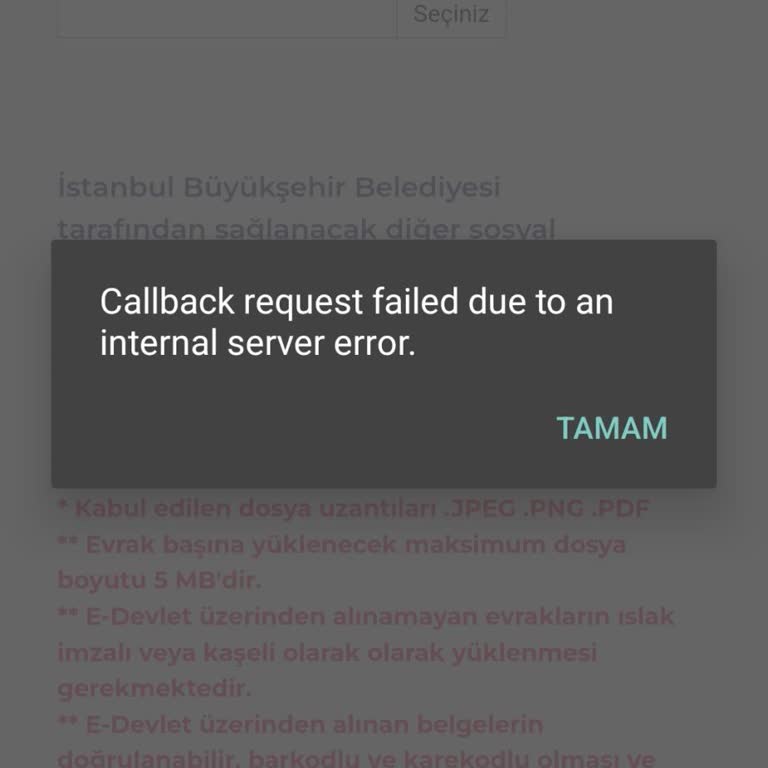 İBB Burs Başvurusunda Yaşanan Teknik Sorunlar