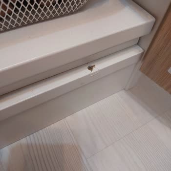 IKEA'dan Beklenmedik Teslimat Gecikmesi Ve Hasarlı Ürün Sorunu