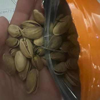 Antep Fıstığında Beklenmedik Sorun