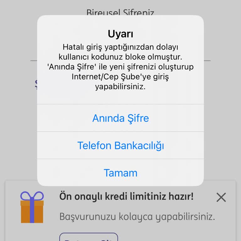 ING Mobil Bankacılık Şifre Blokajı ve Müşteri Hizmetlerine Ulaşamama Sorunu