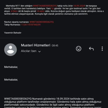 Kızımın Doğum Günü İçin Sipariş Verdiğim Çanta Kayboldu: N11 ve Kargo Firması Arasında İletişim Sorunu