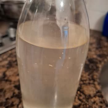 Çilek Su Sağlıksız Su Ve Hijyen Sorunları