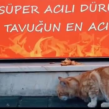 Eki aç