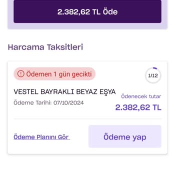 Ödendiği Halde Gecikmeye Düşen Fatura Sorunu