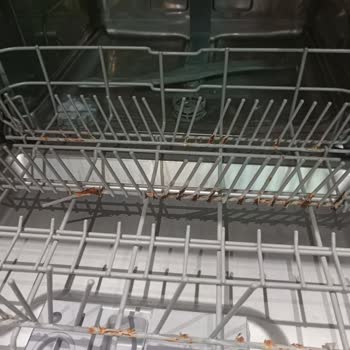 Franke Bulaşık Makinesi Sepetleri Paslandı: Hatalı Üretim ve Yetersiz Servis